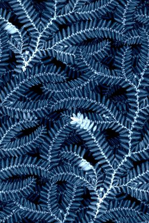 女装裤印花华亿平台图片