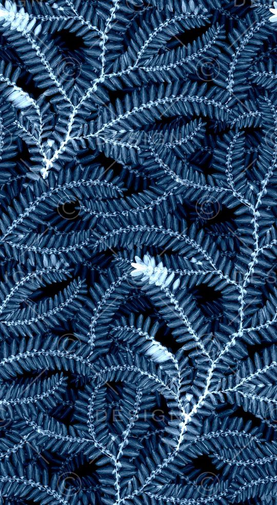 女装裤印花华亿平台图片