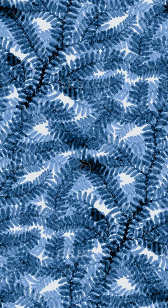 女装裤印花华亿平台图片