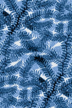 女装裤印花华亿平台图片