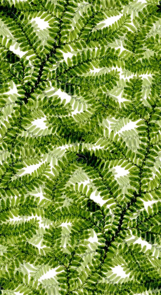 女装裤印花华亿平台图片