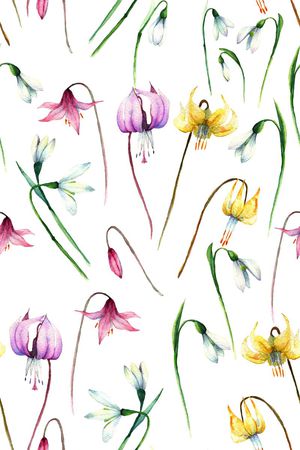 荷花印花华亿平台图片