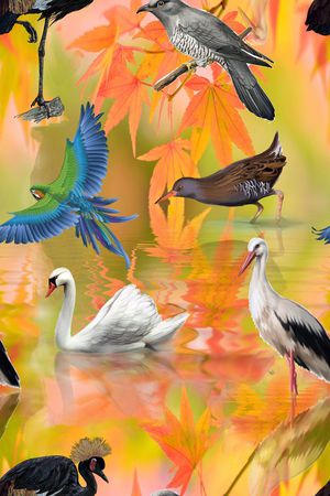 鸟印花华亿平台图片