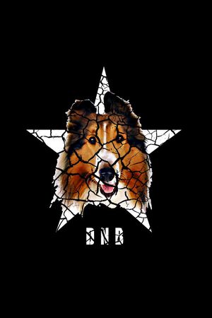 大狗印花华亿平台图片