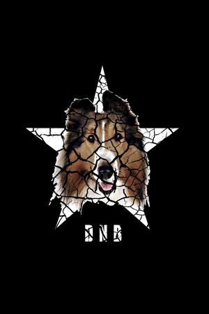 大狗印花华亿平台图片