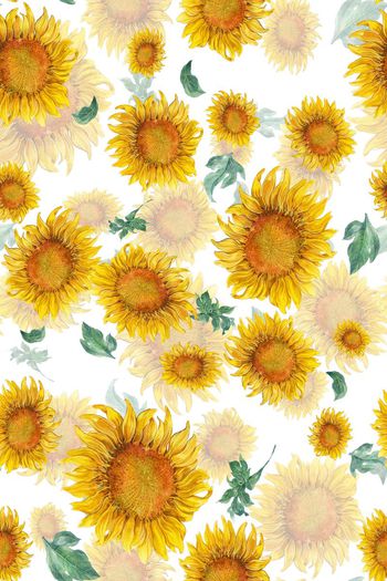 676446-太阳花阴影