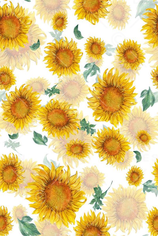 向日葵印花华亿平台图片