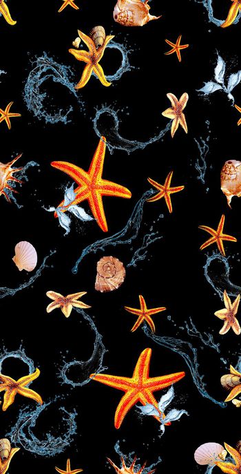 676553-清凉夏天海洋生物系列1