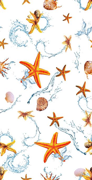 676554-清凉夏天海洋生物系列2