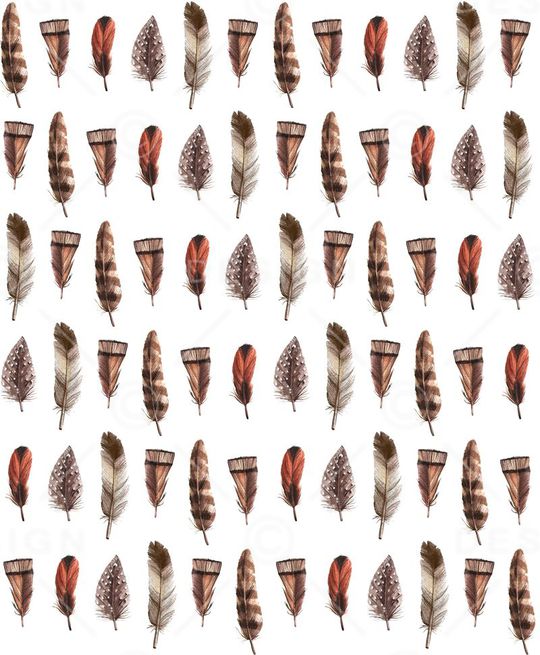 羽毛印花华亿平台图片