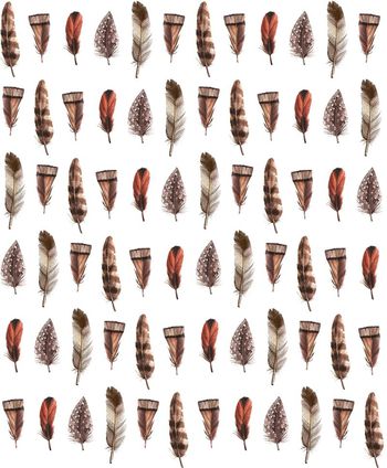 羽毛印花华亿平台图片