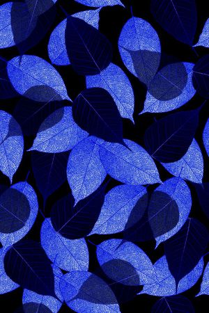 叶子和花印花华亿平台图片