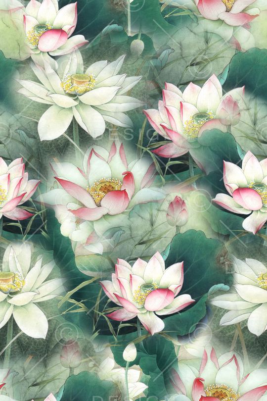 荷花印花华亿平台图片