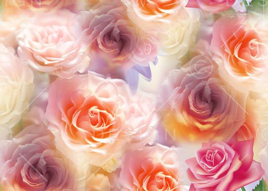 莫妮卡-女装华亿平台印花华亿平台图片