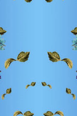 乱花印花华亿平台图片