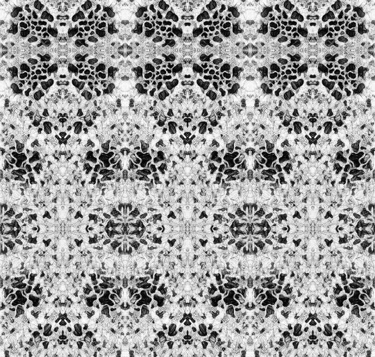 蛇纹印花华亿平台图片