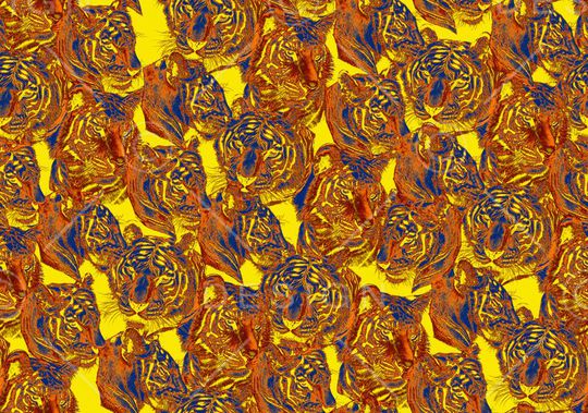 动物印花华亿平台图片