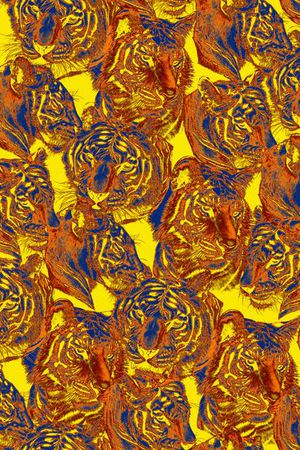 动物印花华亿平台图片