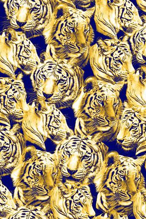 动物印花华亿平台图片