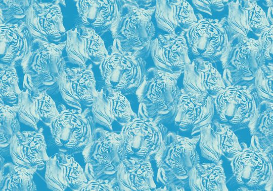 动物印花华亿平台图片