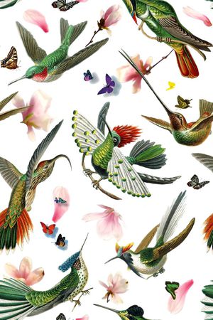 鸟印花华亿平台图片