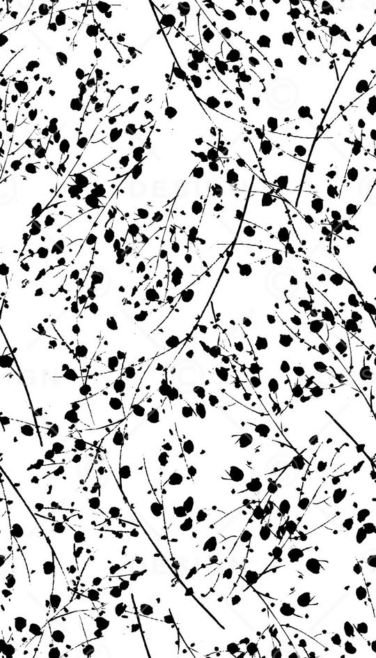 黑白印花华亿平台图片