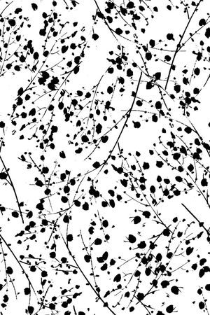 黑白印花华亿平台图片