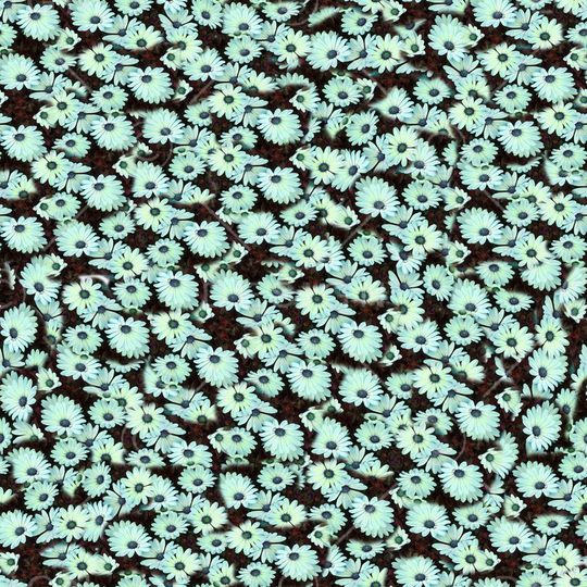 雏菊印花华亿平台图片