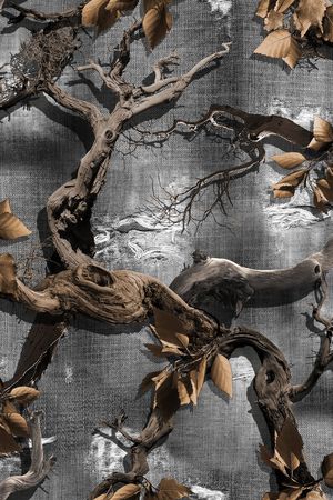 枯树印花华亿平台图片