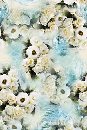 白色玫瑰印花华亿平台图片