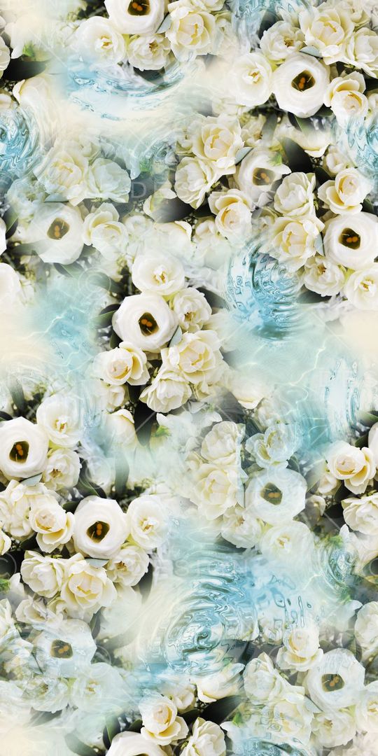 白色玫瑰印花华亿平台图片