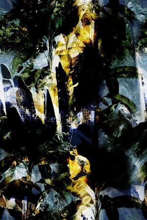 热带印花华亿平台图片