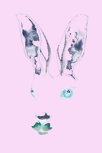 鹿印花华亿平台图片