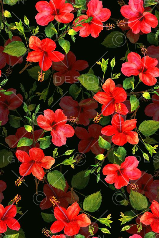 浪漫、水彩、花卉、花朵女装印花华亿平台图片