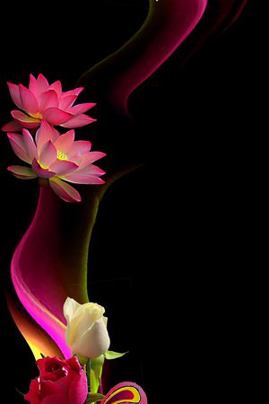 流行时尚印花华亿平台图片