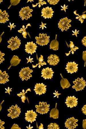 菊花印花华亿平台图片