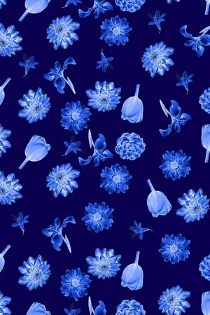 菊花印花华亿平台图片