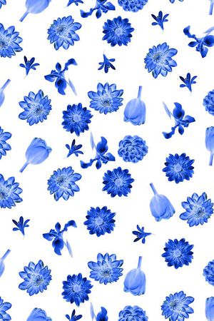 菊花印花华亿平台图片