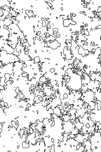 678341-抽象花朵1