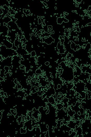 678342-抽象花朵2