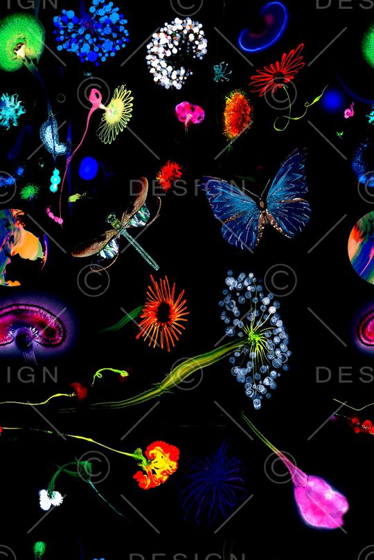 热带花卉昆虫组合印花华亿平台图片