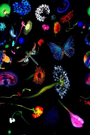 热带花卉昆虫组合印花华亿平台图片