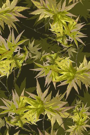 叶子印花华亿平台图片