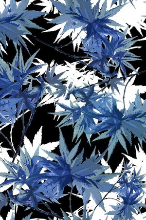 叶子印花华亿平台图片