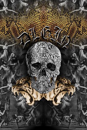 骷髅头印花华亿平台图片