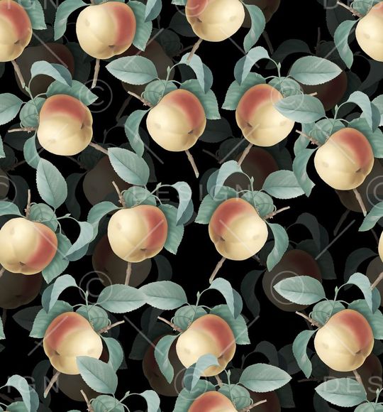 莫妮卡-大牌华亿平台印花华亿平台图片