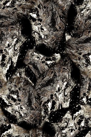 男装印花华亿平台图片