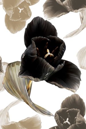 条纹印花华亿平台图片