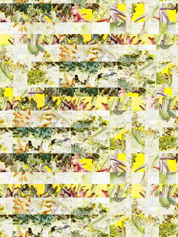 复古印花华亿平台图片