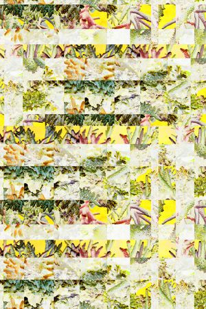 复古印花华亿平台图片